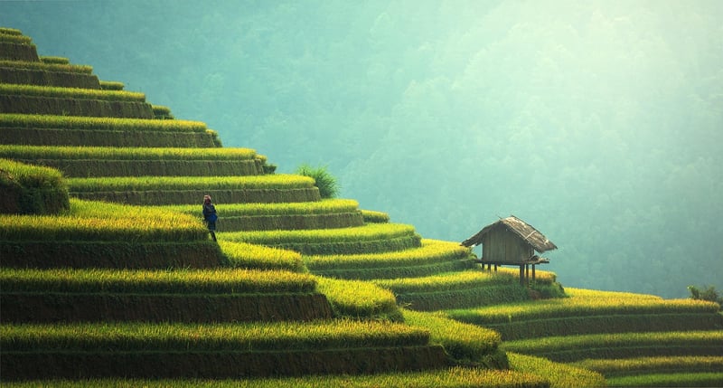 Sustainable Living